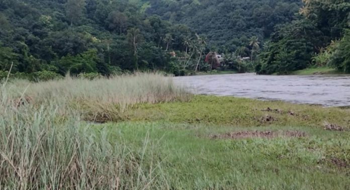 പ്രളയത്തിൽ അടിഞ്ഞുകൂടിയ ചെളിയും മണ്ണും പൂർണമായി നീക്കം ചെയ്യാത്തത് പമ്പാനദിയുടെ നിലനിൽപ്പിന് ഭീഷണിയാകുന്നു പ്രളയത്തിൽ അടിഞ്ഞുകൂടിയ ചെളിയും മണ്ണും പൂർണമായി നീക്കം ചെയ്യാത്തത് പമ്പാനദിയുടെ നിലനിൽപ്പിന് ഭീഷണിയാകുന്നു