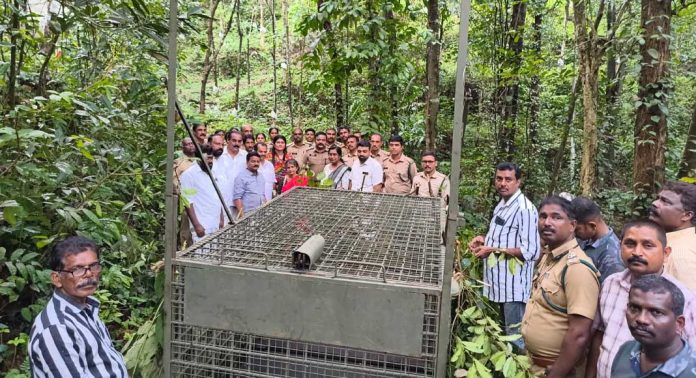 വെച്ചൂച്ചിറയിൽ പുലിയിറങ്ങിയെന്ന അഭ്യൂഹം ; ജനങ്ങൾ പരിഭാന്തിയിൽ – ജാഗ്രതയിൽ വനം വകുപ്പും വെച്ചൂച്ചിറയിൽ പുലിയിറങ്ങിയെന്ന അഭ്യൂഹം ; ജനങ്ങൾ പരിഭാന്തിയിൽ – ജാഗ്രതയിൽ വനം വകുപ്പും