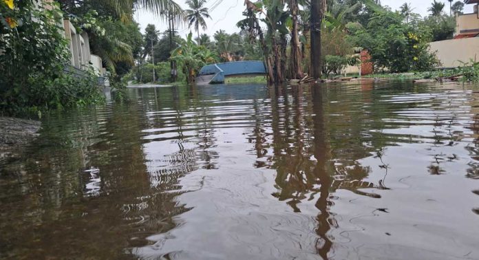 70 വർഷം പഴക്കമുള്ള പിഡബ്യുഡി റോഡ് ശോചനീയാവസ്ഥയിൽ – കാരിക്കുഴിയിൽ ജനങ്ങൾ ദുരിതത്തിൽ 70 വർഷം പഴക്കമുള്ള പിഡബ്യുഡി റോഡ് ശോചനീയാവസ്ഥയിൽ – കാരിക്കുഴിയിൽ ജനങ്ങൾ ദുരിതത്തിൽ