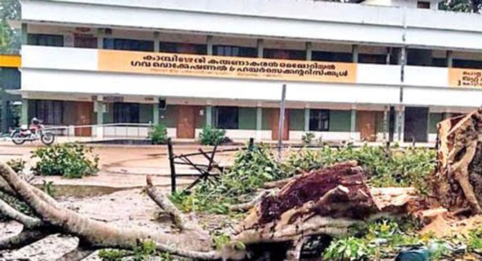 ഇലിപ്പക്കുളം സ്കൂൾമൈതാനിയിൽ അപകടഭീഷണി ഉയർത്തിയ ആൽമരം മുറിച്ചുമാറ്റി ഇലിപ്പക്കുളം സ്കൂൾമൈതാനിയിൽ അപകടഭീഷണി ഉയർത്തിയ ആൽമരം മുറിച്ചുമാറ്റി