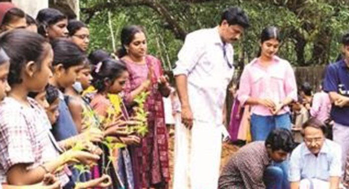 കലഞ്ഞൂർ ഗവ. എൽപി സ്കൂളിൽ ചെണ്ടുമല്ലി കൃഷി ആരംഭിച്ചു കലഞ്ഞൂർ ഗവ. എൽപി സ്കൂളിൽ ചെണ്ടുമല്ലി കൃഷി ആരംഭിച്ചു