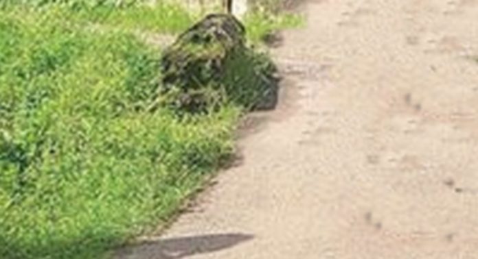 ഒട്ടിയക്കുഴി കലുങ്ക് പുനർനിർമാണം വൈകുന്നു ഒട്ടിയക്കുഴി കലുങ്ക് പുനർനിർമാണം വൈകുന്നു