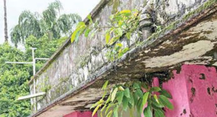കായംകുളം ഗവ. ഗേൾസ് സ്കൂളിലെ ക്ലാസ് മുറിയിലേക്ക് സിമന്റുപാളി അടർന്നുവീണ സംഭവം ; പരിശോധനയിൽ കെട്ടിടത്തിൽ പലയിടത്തും സിമന്റ് ഇളകിയതായി കണ്ടെത്തി കായംകുളം ഗവ. ഗേൾസ് സ്കൂളിലെ ക്ലാസ് മുറിയിലേക്ക് സിമന്റുപാളി അടർന്നുവീണ സംഭവം ; പരിശോധനയിൽ കെട്ടിടത്തിൽ പലയിടത്തും സിമന്റ് ഇളകിയതായി കണ്ടെത്തി