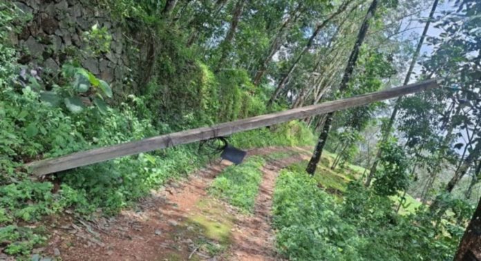 അന്ത്യാളംകാവ് റോഡിൽ പിഴുതു വീണ വൈദ്യുതി തൂണ് 4 ദിവസമായിട്ടും മാറ്റിയില്ലെന്ന് ആരോപണം അന്ത്യാളംകാവ് റോഡിൽ പിഴുതു വീണ വൈദ്യുതി തൂണ് 4 ദിവസമായിട്ടും മാറ്റിയില്ലെന്ന് ആരോപണം