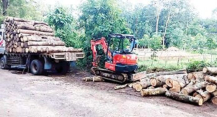 കൊടുമൺ വള്ളുവയൽ റോഡിലെ തടി കയറ്റ് നാട്ടുകാരെ വലയ്ക്കുന്നു കൊടുമൺ വള്ളുവയൽ റോഡിലെ തടി കയറ്റ് നാട്ടുകാരെ വലയ്ക്കുന്നു