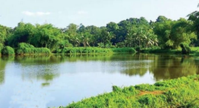 കോതവിളച്ചാൽ തണ്ണീര്ത്തടം സംരക്ഷിക്കണമെന്ന ആവശ്യം ശക്തം കോതവിളച്ചാൽ തണ്ണീര്ത്തടം സംരക്ഷിക്കണമെന്ന ആവശ്യം ശക്തം
