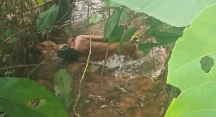 കോന്നി വെള്ളാട്ട് തോട്ടിൽ മൃതദേഹം കണ്ടെത്തിയതിൽ ദുരൂഹത കോന്നി വെള്ളാട്ട് തോട്ടിൽ മൃതദേഹം കണ്ടെത്തിയതിൽ ദുരൂഹത