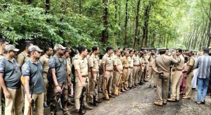 കാട്ടാനകളെയും കാട്ടുപോത്തുകളെയും തുരത്താൻ കൂടുതൽ വനപാലകരെത്തി കാട്ടാനകളെയും കാട്ടുപോത്തുകളെയും തുരത്താൻ കൂടുതൽ വനപാലകരെത്തി