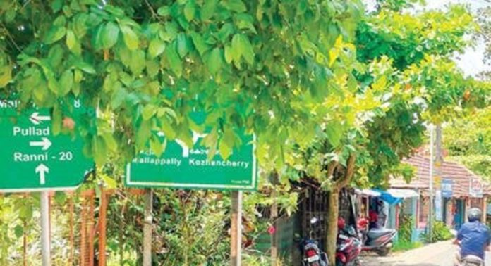 വെണ്ണിക്കുളം ജംഗ്ഷനിലെ ദിശാസൂചക ബോര്ഡ് മറച്ച് മരച്ചില്ലകള് വെണ്ണിക്കുളം ജംഗ്ഷനിലെ ദിശാസൂചക ബോര്ഡ് മറച്ച് മരച്ചില്ലകള്