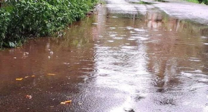 അടൂര് മണക്കാല – കണിയാരേത്ത് പടിയിൽ വെള്ളക്കെട്ട് രൂക്ഷം അടൂര് മണക്കാല – കണിയാരേത്ത് പടിയിൽ വെള്ളക്കെട്ട് രൂക്ഷം