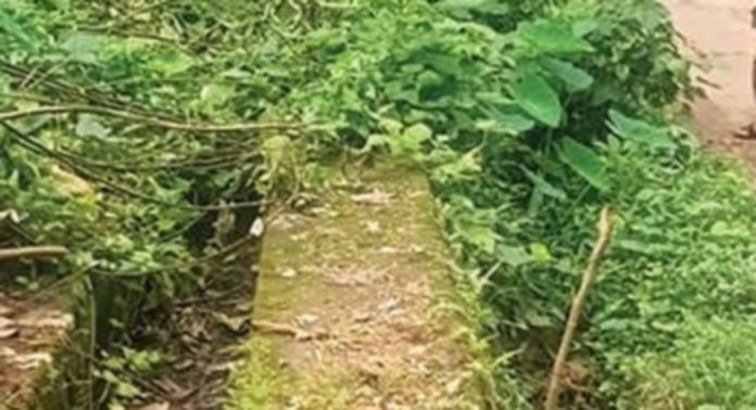 കാട് മൂടി ഓമല്ലൂർ ഉഴുവത്തെ പമ്പ് ഹൗസും കനാലും കാട് മൂടി ഓമല്ലൂർ ഉഴുവത്തെ പമ്പ് ഹൗസും കനാലും
