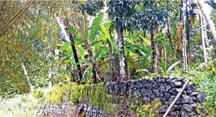 പാണ്ടനാട്ടിൽ കളക്ടറുടെ ഉത്തരവിൽ കൈയേറ്റം ഒഴിപ്പിച്ച് സർക്കാർ കസ്റ്റഡിയിലാക്കിയ ഭൂമി സ്വകാര്യ വ്യക്തി വീണ്ടും കൈയേറി പാണ്ടനാട്ടിൽ കളക്ടറുടെ ഉത്തരവിൽ കൈയേറ്റം ഒഴിപ്പിച്ച് സർക്കാർ കസ്റ്റഡിയിലാക്കിയ ഭൂമി സ്വകാര്യ വ്യക്തി വീണ്ടും കൈയേറി