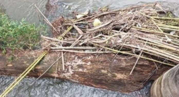 തുമ്പമൺ അമ്പലക്കടവ് പാലത്തിലും പന്തളം വലിയ പാലത്തിലും തൂണുകൾക്ക് ബലക്ഷയമുണ്ടാക്കുന്ന വിധം തട്ടിനിൽക്കുന്നത് കൂറ്റൻതടികളും മാലിന്യവും തുമ്പമൺ അമ്പലക്കടവ് പാലത്തിലും പന്തളം വലിയ പാലത്തിലും തൂണുകൾക്ക് ബലക്ഷയമുണ്ടാക്കുന്ന വിധം തട്ടിനിൽക്കുന്നത് കൂറ്റൻതടികളും മാലിന്യവും