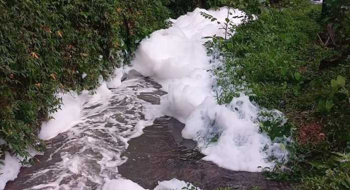 ഇരിട്ടി ഉളിക്കലില് തോട്ടില് വെള്ളം പതഞ്ഞു പൊങ്ങി ; പരിശോധനയില് രാസസാന്നിധ്യം കണ്ടെത്തി ഇരിട്ടി ഉളിക്കലില് തോട്ടില് വെള്ളം പതഞ്ഞു പൊങ്ങി ; പരിശോധനയില് രാസസാന്നിധ്യം കണ്ടെത്തി