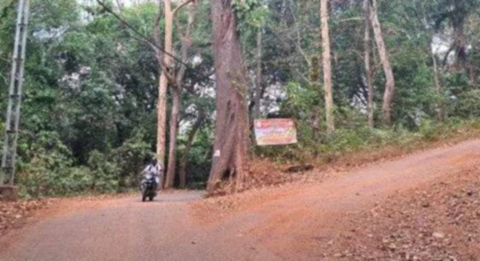 ദിശാസൂചിക തകര്ന്നു ; പെരുന്തേനരുവി വെള്ളച്ചാട്ടത്തിലേക്ക് പോകുന്ന സഞ്ചാരികൾക്ക് വഴി തെറ്റുന്നു ദിശാസൂചിക തകര്ന്നു ; പെരുന്തേനരുവി വെള്ളച്ചാട്ടത്തിലേക്ക് പോകുന്ന സഞ്ചാരികൾക്ക് വഴി തെറ്റുന്നു