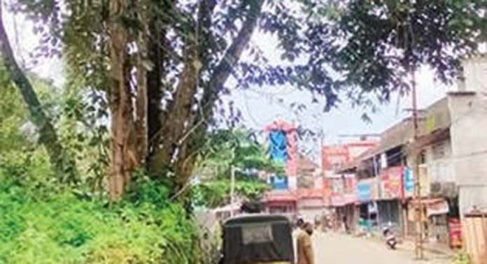 പുല്ലാട് ഓട്ടോസ്റ്റാൻഡിന്റെ മുകളിലേക്ക് അപകടകരമായ രീതിയിൽ മരച്ചില്ലകൾ വളർന്നുനിൽക്കുന്നു പുല്ലാട് ഓട്ടോസ്റ്റാൻഡിന്റെ മുകളിലേക്ക് അപകടകരമായ രീതിയിൽ മരച്ചില്ലകൾ വളർന്നുനിൽക്കുന്നു