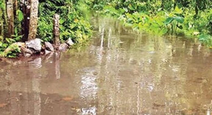 നൂറനാട് ആറ്റുവ വാർഡിലെ പടിഞ്ഞാറൻമേഖലയിലെ 20 വീടുകൾ വെള്ളത്തിൽ നൂറനാട് ആറ്റുവ വാർഡിലെ പടിഞ്ഞാറൻമേഖലയിലെ 20 വീടുകൾ വെള്ളത്തിൽ