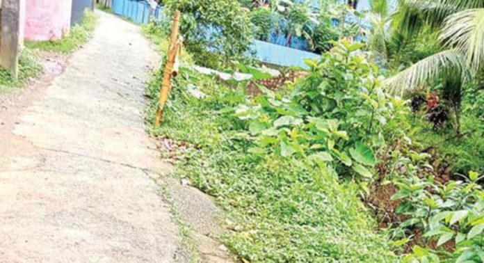 ഇല്ലിമല-മൂഴിക്കൽത്തോടിന്റെ സംരക്ഷണഭിത്തി തകർന്നിട്ട് നാലുവർഷം ഇല്ലിമല-മൂഴിക്കൽത്തോടിന്റെ സംരക്ഷണഭിത്തി തകർന്നിട്ട് നാലുവർഷം