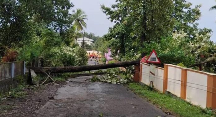 കാറ്റ് ; തിരുവല്ലയിൽ വ്യാപക നാശം കാറ്റ് ; തിരുവല്ലയിൽ വ്യാപക നാശം