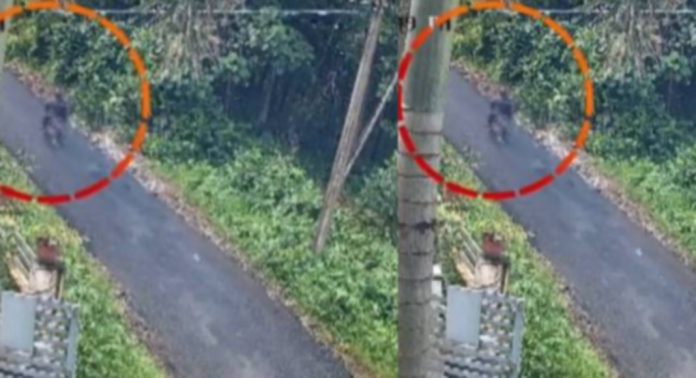 പാലക്കാട് വടക്കഞ്ചേരിയിൽ പതിനാലുകാരനെ തട്ടിക്കൊണ്ടുപോകാൻ ശ്രമമെന്ന് പരാതി പാലക്കാട് വടക്കഞ്ചേരിയിൽ പതിനാലുകാരനെ തട്ടിക്കൊണ്ടുപോകാൻ ശ്രമമെന്ന് പരാതി