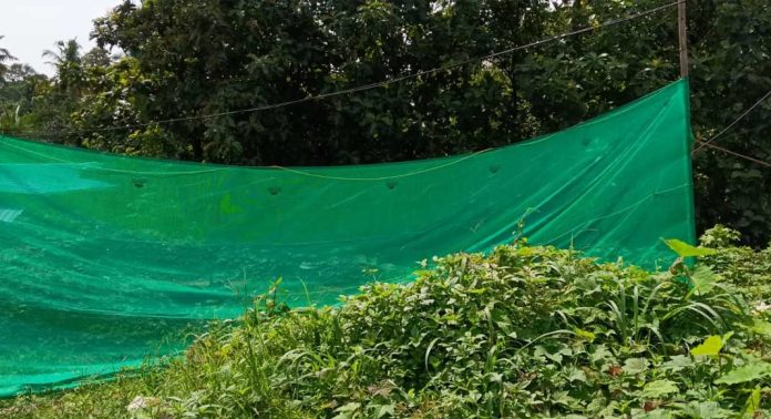 ടേക്ക് എ ബ്രേക്ക് വഴിയിടത്തിന്റെ നിർമ്മാണം റാന്നി വലിയ പാലത്തിന് സമീപം ആരംഭിച്ചു ടേക്ക് എ ബ്രേക്ക് വഴിയിടത്തിന്റെ നിർമ്മാണം റാന്നി വലിയ പാലത്തിന് സമീപം ആരംഭിച്ചു