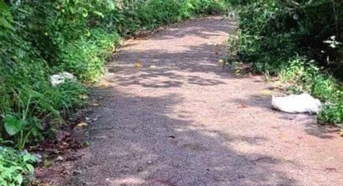 മണക്കാല വായനശാല – മരങ്ങാട്ട് ഭഗവതി ക്ഷേത്രം റോഡില് മാലിന്യം തള്ളുന്നത് പതിവ് മണക്കാല വായനശാല – മരങ്ങാട്ട് ഭഗവതി ക്ഷേത്രം റോഡില് മാലിന്യം തള്ളുന്നത് പതിവ്