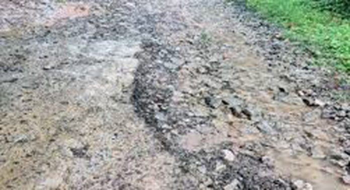 കുണ്ടും കുഴിയും നിറഞ്ഞ് പയ്യനാമൺ പഴയ പോസ്റ്റ് ഓഫീസ് ജംഗ്ഷന് റോഡിലെ കുഴികള് കുണ്ടും കുഴിയും നിറഞ്ഞ് പയ്യനാമൺ പഴയ പോസ്റ്റ് ഓഫീസ് ജംഗ്ഷന് റോഡിലെ കുഴികള്
