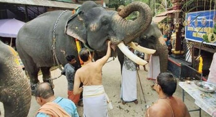 ആറന്മുള മൂർത്തിട്ട മഹാഗണപതിക്ഷേത്രത്തിലെ വിനായകചതുർഥി-ഗണേശോത്സവ ചടങ്ങുകൾ ആരംഭിച്ചു ആറന്മുള മൂർത്തിട്ട മഹാഗണപതിക്ഷേത്രത്തിലെ വിനായകചതുർഥി-ഗണേശോത്സവ ചടങ്ങുകൾ ആരംഭിച്ചു