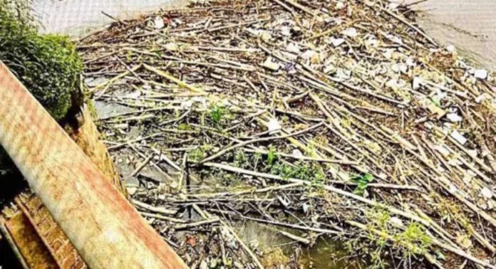 മണിമലയാറ്റിലൂടെ ഒഴുകിയെത്തുന്ന മരങ്ങളും മുളങ്കൂട്ടവും പാലങ്ങൾക്ക് ഭീഷണിയാകുന്നു മണിമലയാറ്റിലൂടെ ഒഴുകിയെത്തുന്ന മരങ്ങളും മുളങ്കൂട്ടവും പാലങ്ങൾക്ക് ഭീഷണിയാകുന്നു