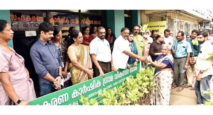 പത്തനംതിട്ട സഹകരണ കാർഷിക ഗ്രാമവികസന ബാങ്കിന്റെ നേതൃത്വത്തിൽ കശുമാവിൻ തൈകളുടെ വിതരണോത്ഘാടനം നടത്തി പത്തനംതിട്ട സഹകരണ കാർഷിക ഗ്രാമവികസന ബാങ്കിന്റെ നേതൃത്വത്തിൽ കശുമാവിൻ തൈകളുടെ വിതരണോത്ഘാടനം നടത്തി