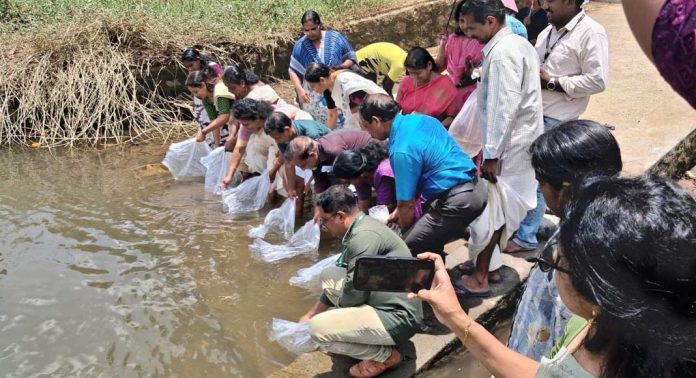 ഉള്നാടന് മത്സ്യ സംരക്ഷണ പദ്ധതി : പമ്പാ നദിയില് മത്സ്യ കുഞ്ഞുങ്ങളെ നിക്ഷേപിച്ചു ഉള്നാടന് മത്സ്യ സംരക്ഷണ പദ്ധതി : പമ്പാ നദിയില് മത്സ്യ കുഞ്ഞുങ്ങളെ നിക്ഷേപിച്ചു