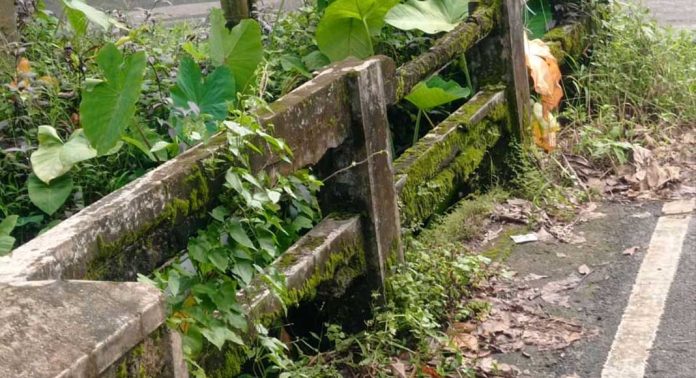 റോഡ് ഉന്നത നിലവാരത്തിൽ ; ചുങ്കപ്പാറ – ആലപ്രക്കാട് – കോട്ടാങ്ങൽ റോഡിലെ പാലം നവീകരിക്കാൻ നടപടിയില്ല റോഡ് ഉന്നത നിലവാരത്തിൽ ; ചുങ്കപ്പാറ – ആലപ്രക്കാട് – കോട്ടാങ്ങൽ റോഡിലെ പാലം നവീകരിക്കാൻ നടപടിയില്ല