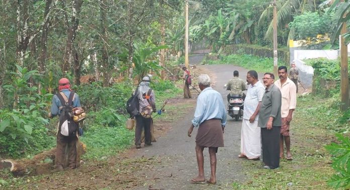 നാട്ടുകാർ കൈകോർത്തു ; റോഡിൻ്റെ ഇരുവശത്തെയും കാട് വെട്ടിതെളിച്ചു ഭംഗിയാക്കി നാട്ടുകാർ കൈകോർത്തു ; റോഡിൻ്റെ ഇരുവശത്തെയും കാട് വെട്ടിതെളിച്ചു ഭംഗിയാക്കി