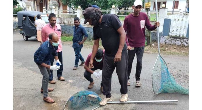 വെച്ചൂച്ചിറ ഗ്രാമ പഞ്ചായത്തിന്റെ നേതൃത്വത്തിൽ തെരുവുനായകൾക്ക് പേവിഷബാധയ്ക്ക് എതിരെയുള്ള വാക്സിനേഷൻ നൽകി തുടങ്ങി വെച്ചൂച്ചിറ ഗ്രാമ പഞ്ചായത്തിന്റെ നേതൃത്വത്തിൽ തെരുവുനായകൾക്ക് പേവിഷബാധയ്ക്ക് എതിരെയുള്ള വാക്സിനേഷൻ നൽകി തുടങ്ങി
