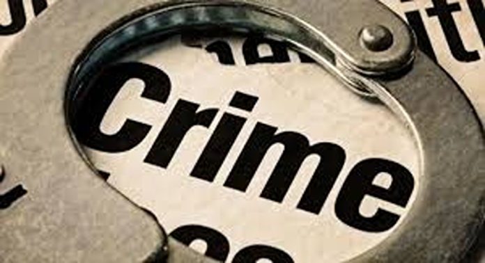 ചെർപ്പുളശ്ശേരിയിൽ പൂച്ചയെ കൊന്ന് ഇൻസ്റ്റാഗ്രാം സ്റ്റോറിയിട്ട് യുവാവ് ചെർപ്പുളശ്ശേരിയിൽ പൂച്ചയെ കൊന്ന് ഇൻസ്റ്റാഗ്രാം സ്റ്റോറിയിട്ട് യുവാവ്