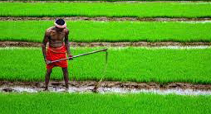 ഏഴംകുളം ഗ്രാമ പഞ്ചായത്തും കൃഷിഭവനും സഹകരണ സംഘങ്ങളും സംയുക്തമായി ചേർന്ന് ചിങ്ങം 1 കര്ഷകദിനമായി ആചരിക്കും ഏഴംകുളം ഗ്രാമ പഞ്ചായത്തും കൃഷിഭവനും സഹകരണ സംഘങ്ങളും സംയുക്തമായി ചേർന്ന് ചിങ്ങം 1 കര്ഷകദിനമായി ആചരിക്കും