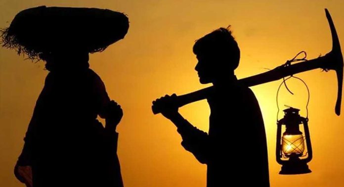കര്ഷക ദിനാചരണം ഓഗസ്റ്റ് 17 ന് (ഞായര്) കര്ഷക ദിനാചരണം ഓഗസ്റ്റ് 17 ന് (ഞായര്)