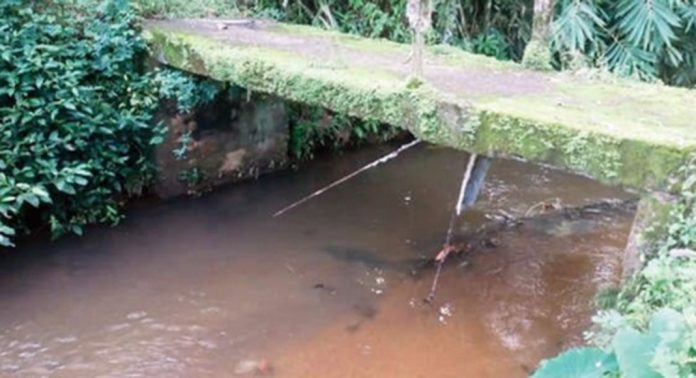 കൊടുമൺ കിഴക്ക് തേക്കിൻകാട്ടിൽ ഭാഗത്തുള്ള നടപ്പാലം അപകടത്തിൽ കൊടുമൺ കിഴക്ക് തേക്കിൻകാട്ടിൽ ഭാഗത്തുള്ള നടപ്പാലം അപകടത്തിൽ