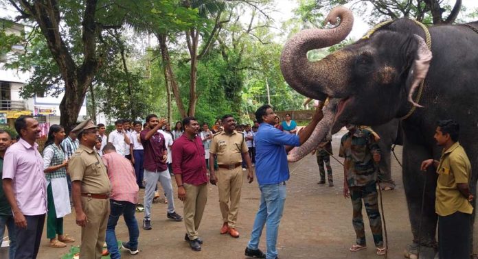 ലോക ഗജ ദിനം കോന്നി ഇക്കോ ടൂറിസം സെന്ററിൽ വനം വന്യജീവി വകുപ്പിന്റെ നേതൃത്വത്തിൽ നടന്നു ലോക ഗജ ദിനം കോന്നി ഇക്കോ ടൂറിസം സെന്ററിൽ വനം വന്യജീവി വകുപ്പിന്റെ നേതൃത്വത്തിൽ നടന്നു