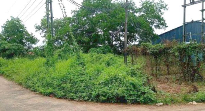 കുന്നന്താനം കിൻഫ്ര വ്യവസായ പാർക്കിൽ 33 കെ.വി സബ്സ്റ്റേഷന് ഭരണാനുമതിയായി കുന്നന്താനം കിൻഫ്ര വ്യവസായ പാർക്കിൽ 33 കെ.വി സബ്സ്റ്റേഷന് ഭരണാനുമതിയായി