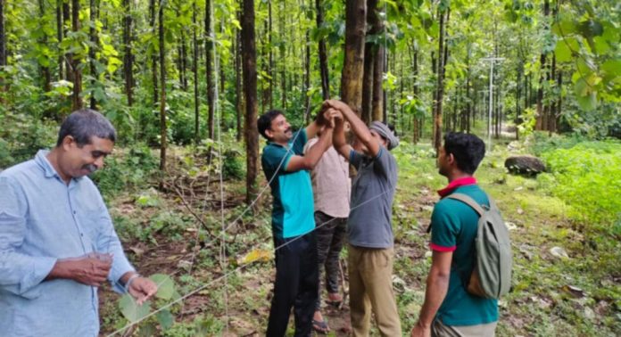 വന്യമൃഗങ്ങളുടെ ആക്രമണം ; വനാതിർത്തികളിൽ സ്ഥാപിച്ചിട്ടുള്ള സൗരോർജ്ജവേലികളുടെ തകരാറുകൾ വനം വകുപ്പിന് സൃഷ്ടിച്ചിരുന്ന തലവേദനയ്ക്ക് ശാശ്വത പരിഹാരമായി വന്യമൃഗങ്ങളുടെ ആക്രമണം ; വനാതിർത്തികളിൽ സ്ഥാപിച്ചിട്ടുള്ള സൗരോർജ്ജവേലികളുടെ തകരാറുകൾ വനം വകുപ്പിന് സൃഷ്ടിച്ചിരുന്ന തലവേദനയ്ക്ക് ശാശ്വത പരിഹാരമായി