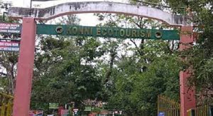 കുട്ടിയാനകൾ ഇല്ലാതെ കോന്നി ആനത്താവളം കുട്ടിയാനകൾ ഇല്ലാതെ കോന്നി ആനത്താവളം