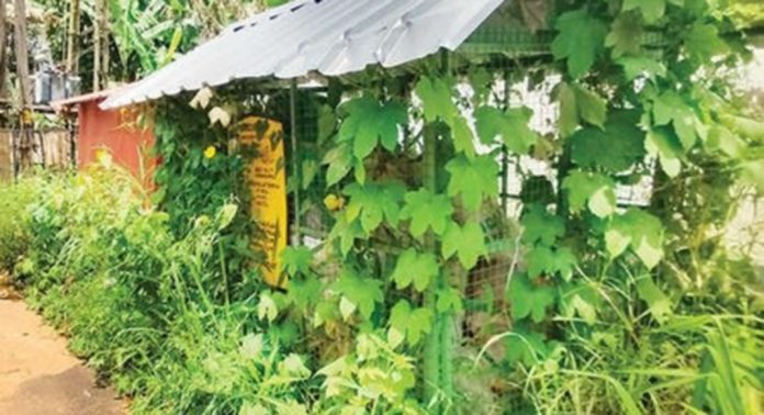 കാട് മൂടി മുട്ടുമൺ-ഐരാക്കാവ് റോഡിൽ സ്ഥാപിച്ചിട്ടുള്ള മിനി എംസിഎഫ് കാട് മൂടി മുട്ടുമൺ-ഐരാക്കാവ് റോഡിൽ സ്ഥാപിച്ചിട്ടുള്ള മിനി എംസിഎഫ്