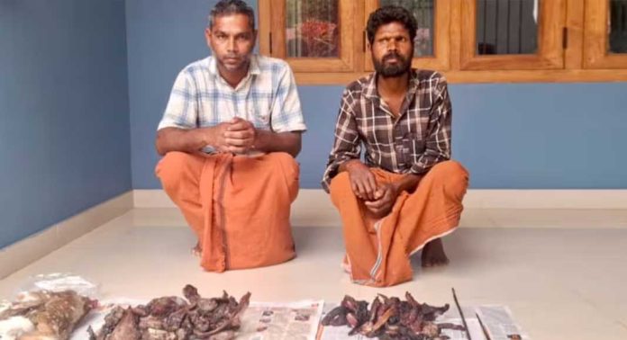 വനത്തില് അതിക്രമിച്ചു കയറി പുള്ളിമാനിനെ വേട്ടയാടി ; പ്രതികൾ പിടിയിൽ വനത്തില് അതിക്രമിച്ചു കയറി പുള്ളിമാനിനെ വേട്ടയാടി ; പ്രതികൾ പിടിയിൽ