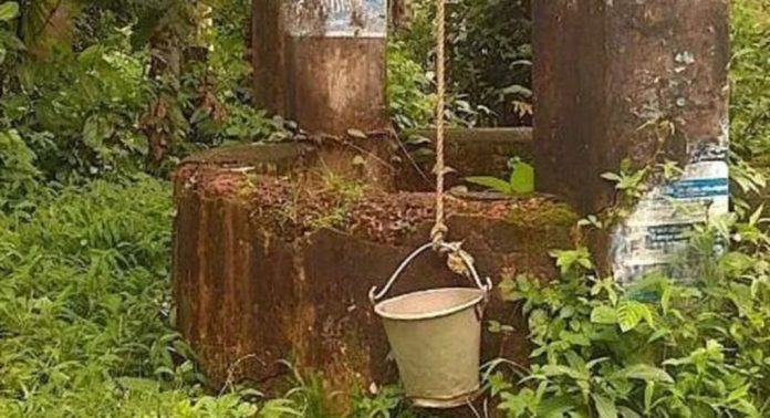 കാടുകയറി പള്ളിക്കൽ കള്ളപ്പഞ്ചിറയിലെ പൊതുകിണർ കാടുകയറി പള്ളിക്കൽ കള്ളപ്പഞ്ചിറയിലെ പൊതുകിണർ