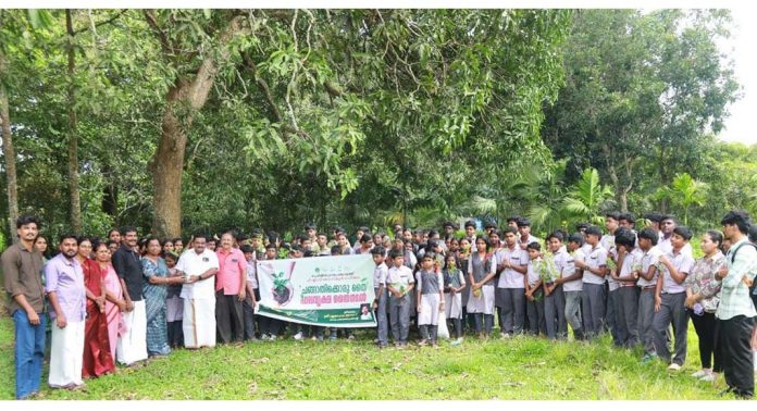 പെരിങ്ങരയില് ‘ചങ്ങാതിക്കൊരു തൈ’ പദ്ധതിക്ക് തുടക്കം പെരിങ്ങരയില് ‘ചങ്ങാതിക്കൊരു തൈ’ പദ്ധതിക്ക് തുടക്കം