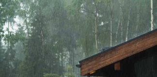കനത്ത മഴ ; ഒൻപത് ജില്ലകളിൽ വിദ്യാഭ്യാസ സ്ഥാപനങ്ങൾക്ക് അവധി പ്രഖ്യാപിച്ച് കളക്ടർമാർ ; പരീക്ഷകൾ മാറ്റി