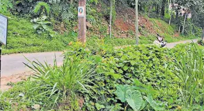 ഇടിതാങ്ങിയും അപകട സൂചന ബോർഡും ഇല്ല ; അപകട മേഖലയായി ഇരുമ്പുകുഴി– അരീക്കൽ റോഡ് ഇടിതാങ്ങിയും അപകട സൂചന ബോർഡും ഇല്ല ; അപകട മേഖലയായി ഇരുമ്പുകുഴി– അരീക്കൽ റോഡ്