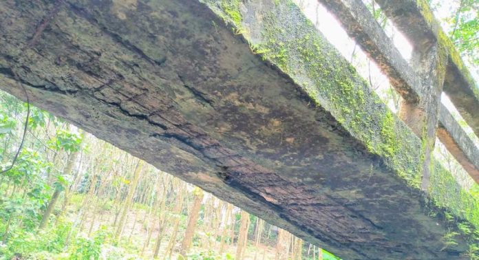 ഇടമണ് പാറേക്കടവ് സൊസൈറ്റിപ്പടിയിലെ നടപ്പാലം തകർച്ചയുടെ വക്കിലായിട്ടും പുനരുദ്ധരിക്കാൻ നടപടിയില്ല ഇടമണ് പാറേക്കടവ് സൊസൈറ്റിപ്പടിയിലെ നടപ്പാലം തകർച്ചയുടെ വക്കിലായിട്ടും പുനരുദ്ധരിക്കാൻ നടപടിയില്ല