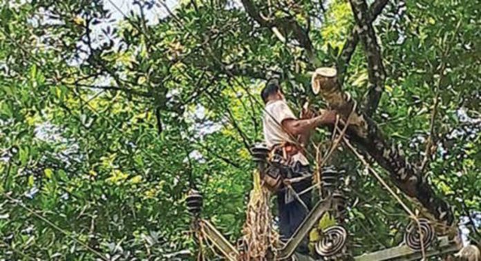 മഴക്കാലം ; കെഎസ്ഇബി ഓഫീസിന്റെ പരിധിയിൽ 32 തൂണുകള് ഒടിഞ്ഞു വീണു മഴക്കാലം ; കെഎസ്ഇബി ഓഫീസിന്റെ പരിധിയിൽ 32 തൂണുകള് ഒടിഞ്ഞു വീണു
